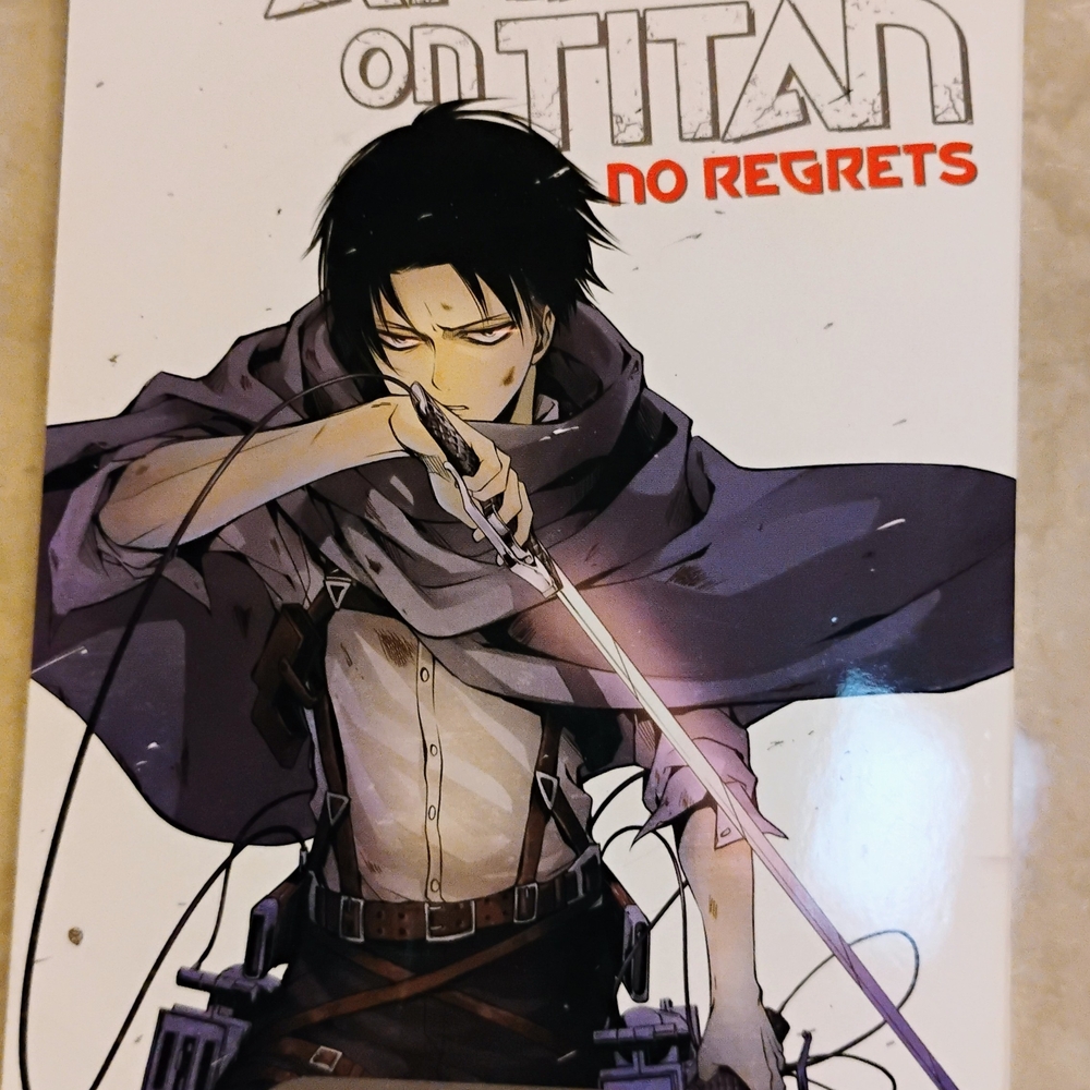 Attack on Titan No Regrets Poster